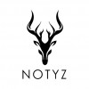 Notyz